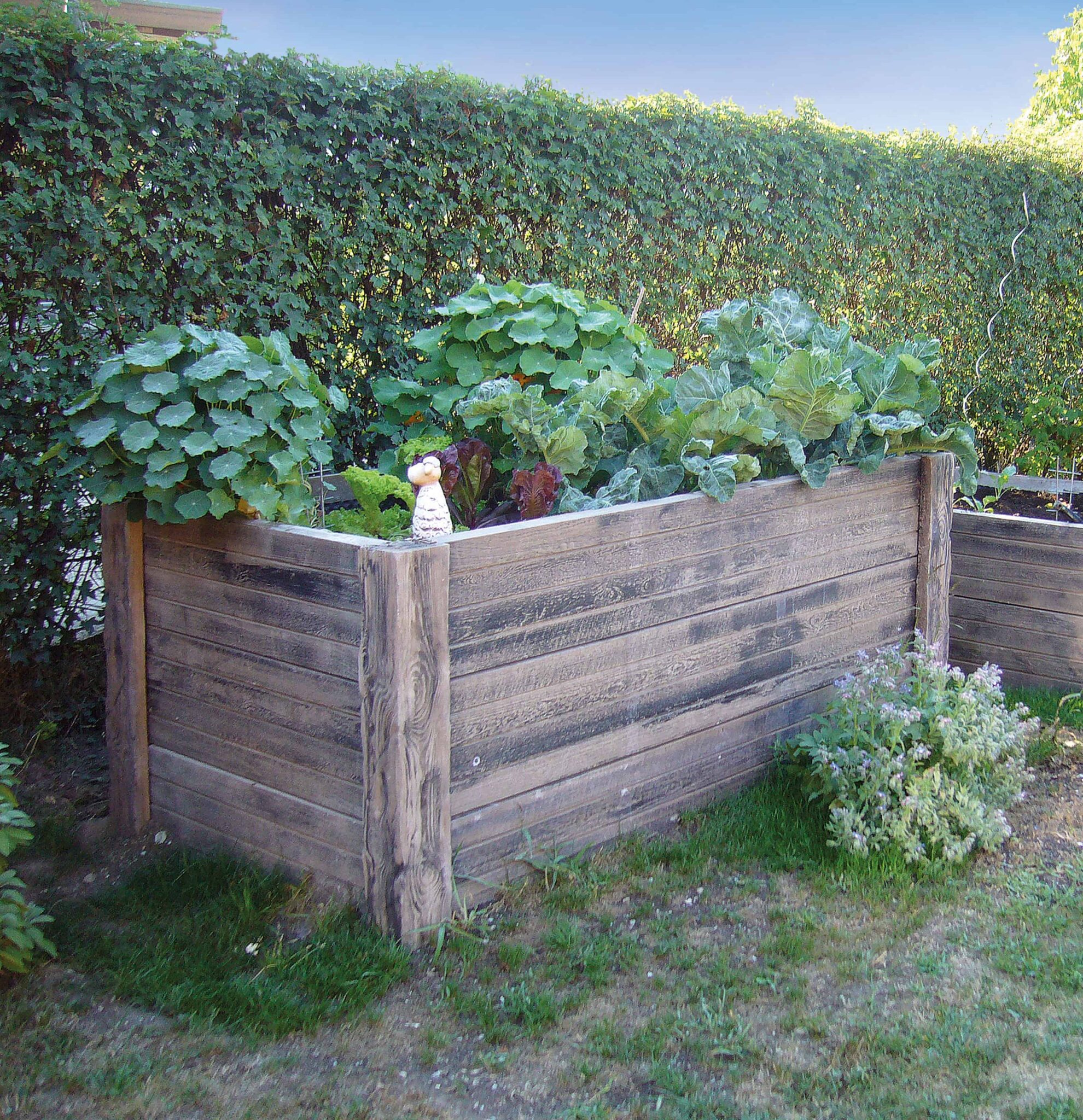 Hochbeet Versteinertes Holz Hochbeet aus Beton Häusler
