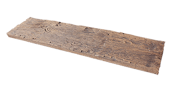 Häusler Verkleidungsplatte aus versteinertem Holz